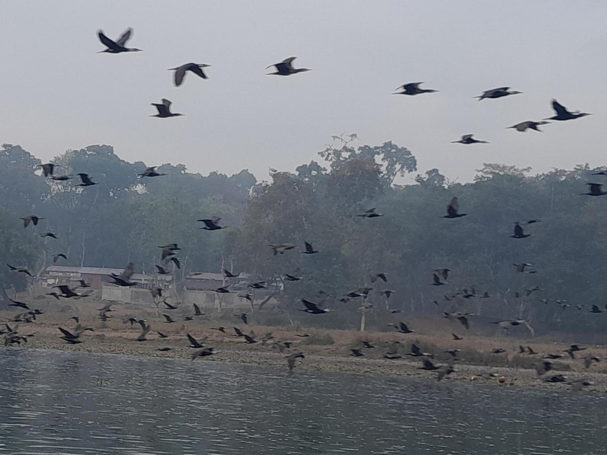 Hotel Crocodile Safari Camp Chitwan Exterior foto