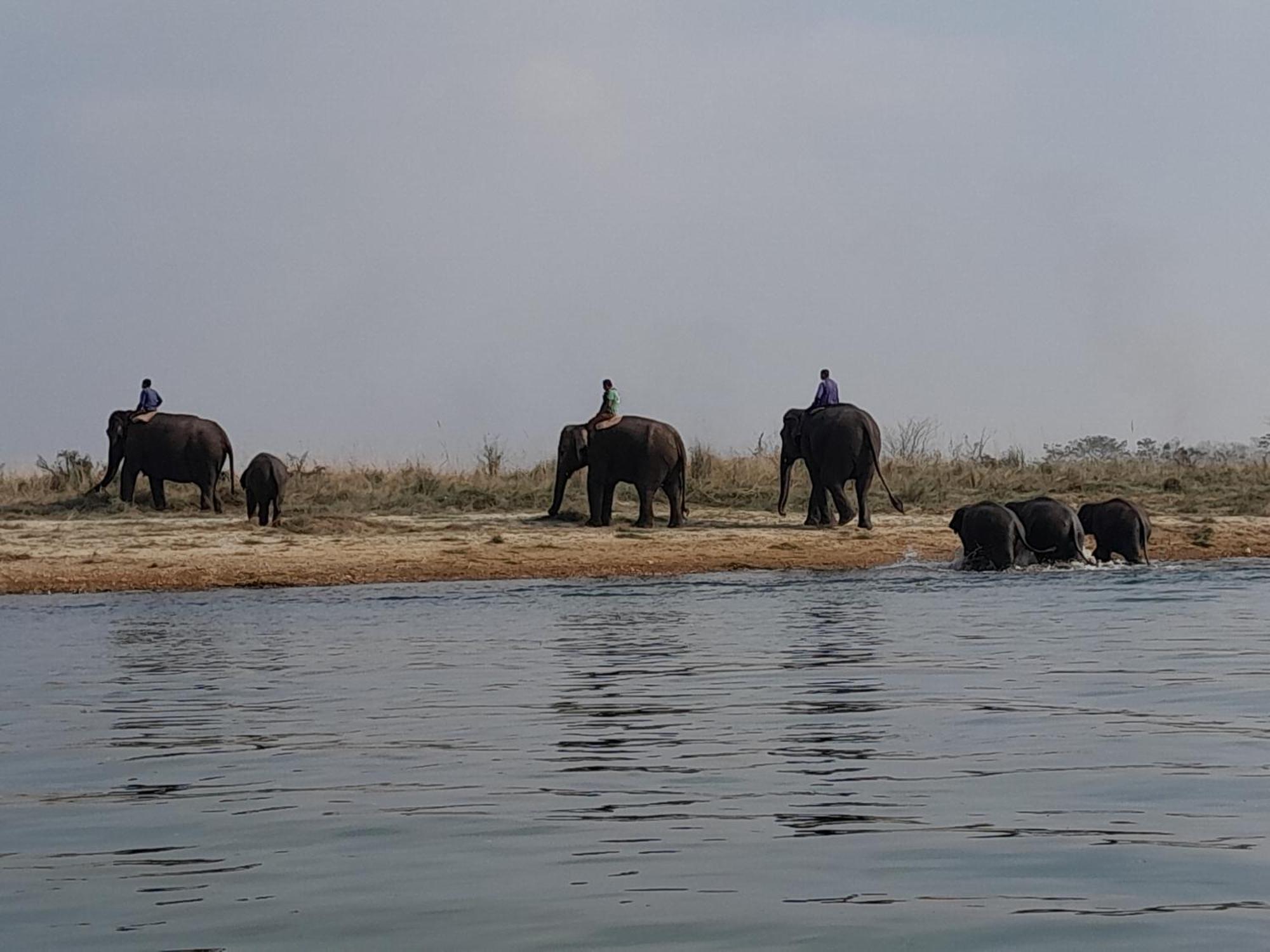 Hotel Crocodile Safari Camp Chitwan Exterior foto