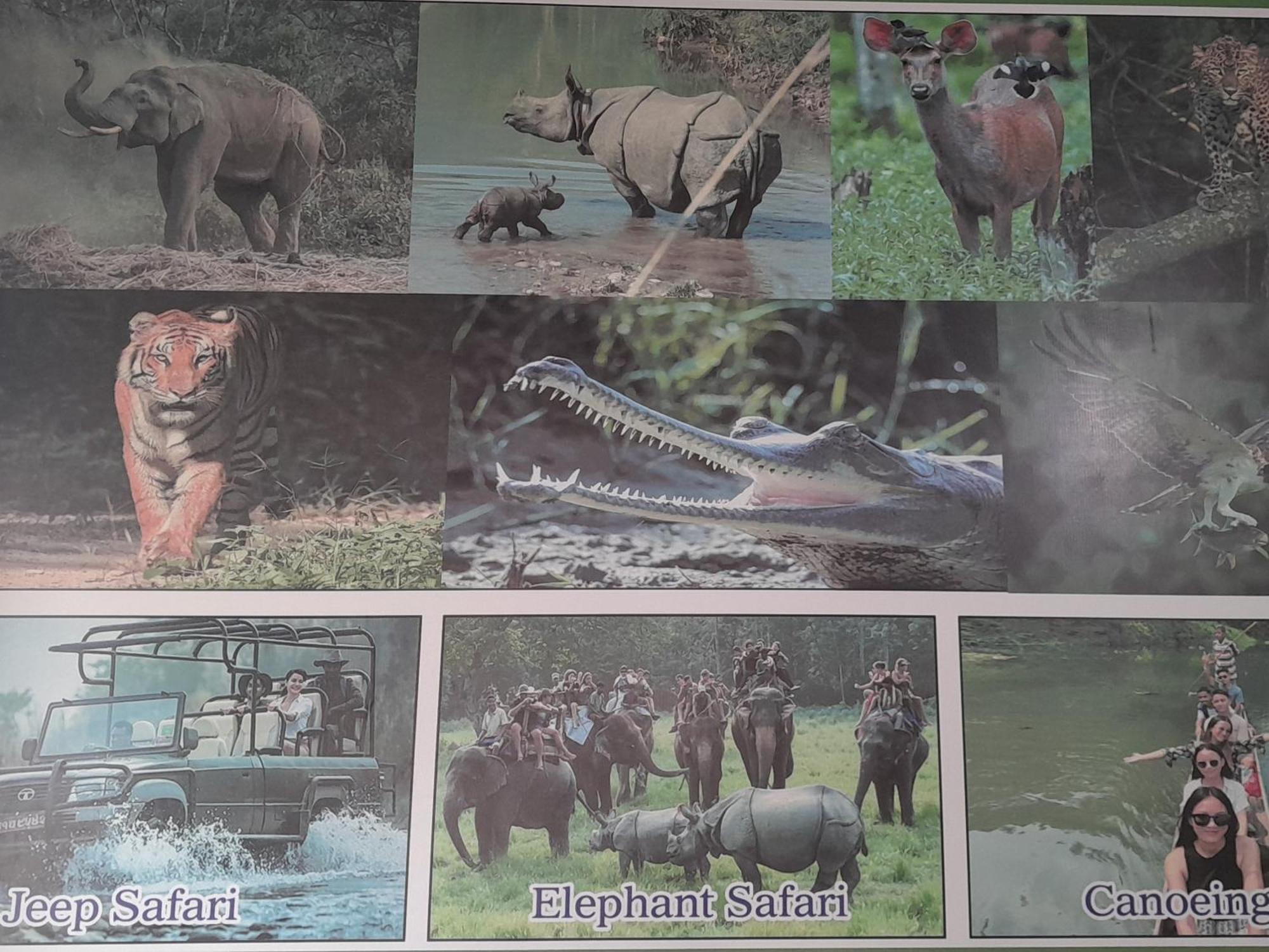 Hotel Crocodile Safari Camp Chitwan Exterior foto