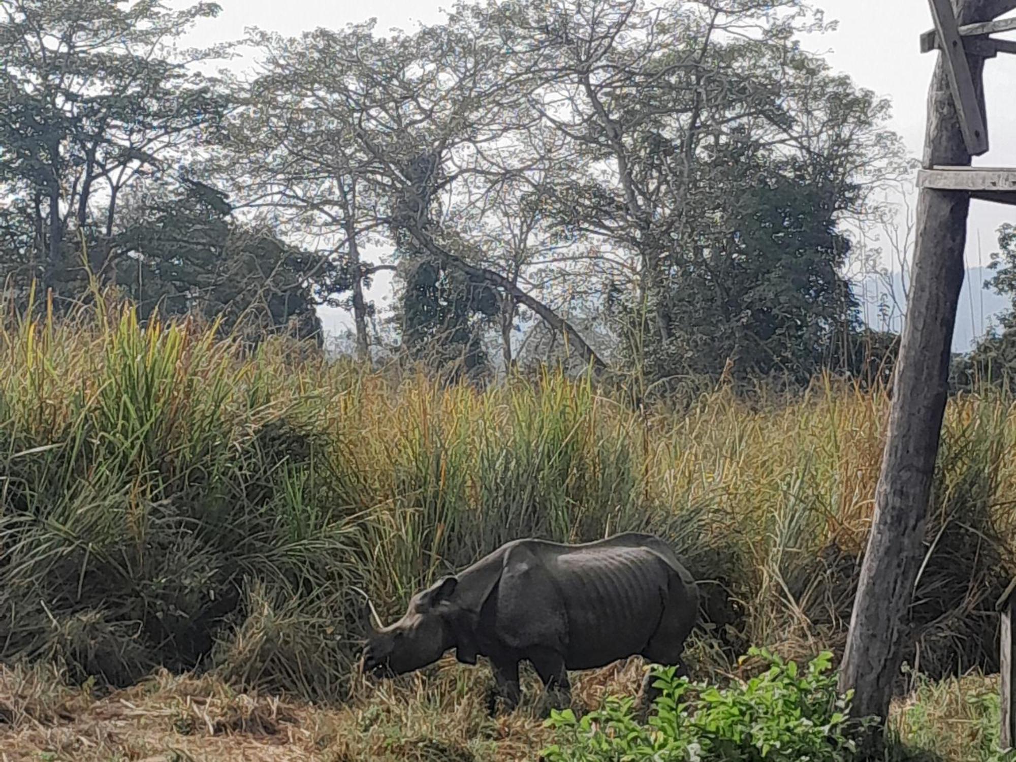 Hotel Crocodile Safari Camp Chitwan Exterior foto