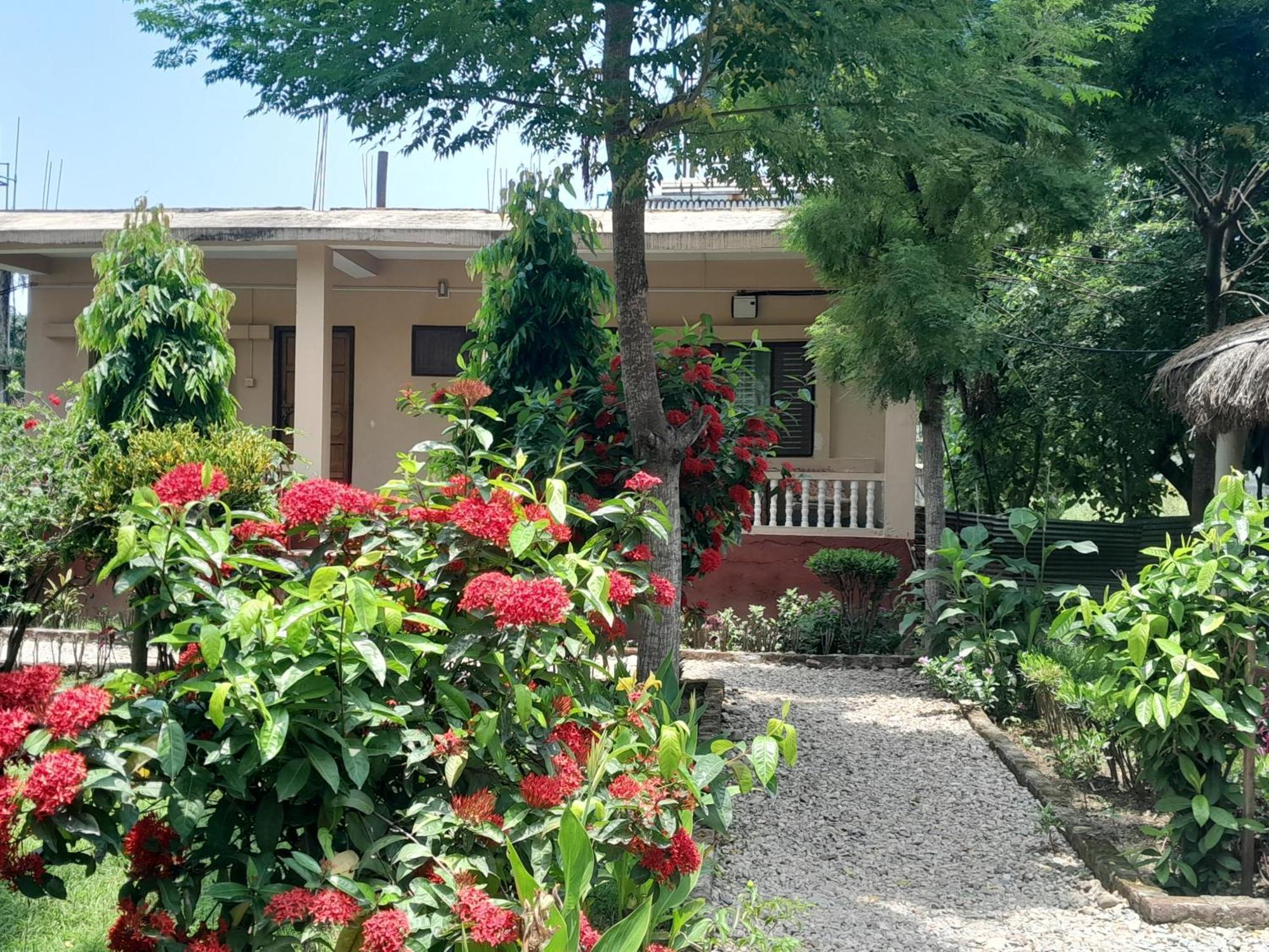 Hotel Crocodile Safari Camp Chitwan Exterior foto