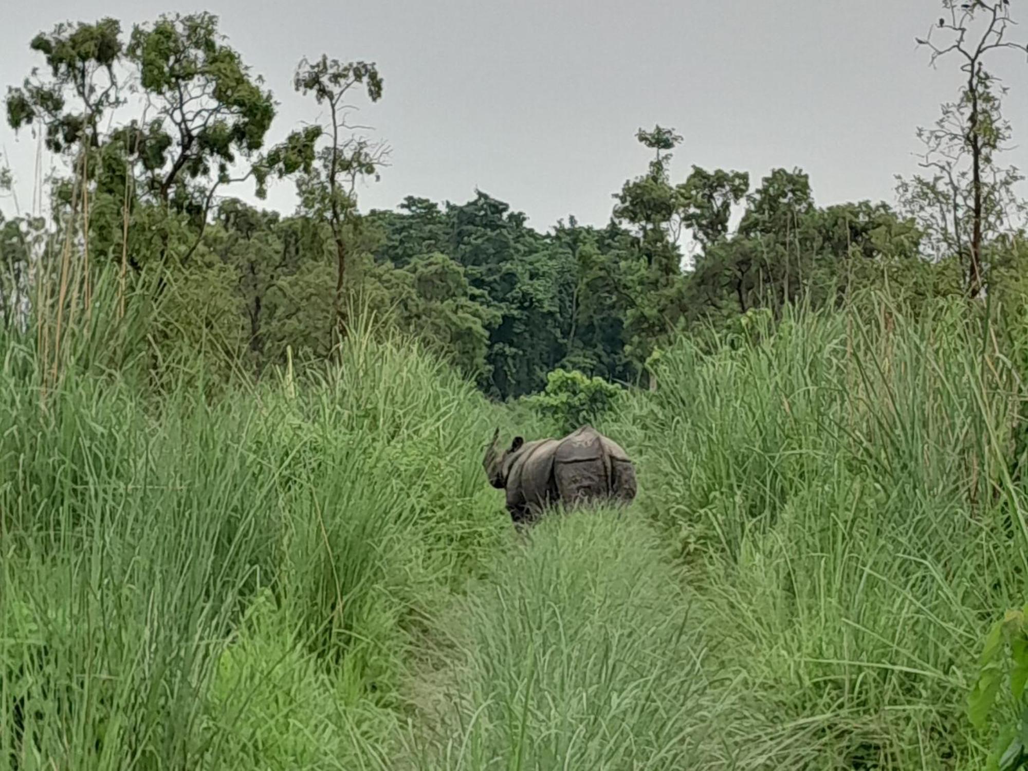 Hotel Crocodile Safari Camp Chitwan Exterior foto