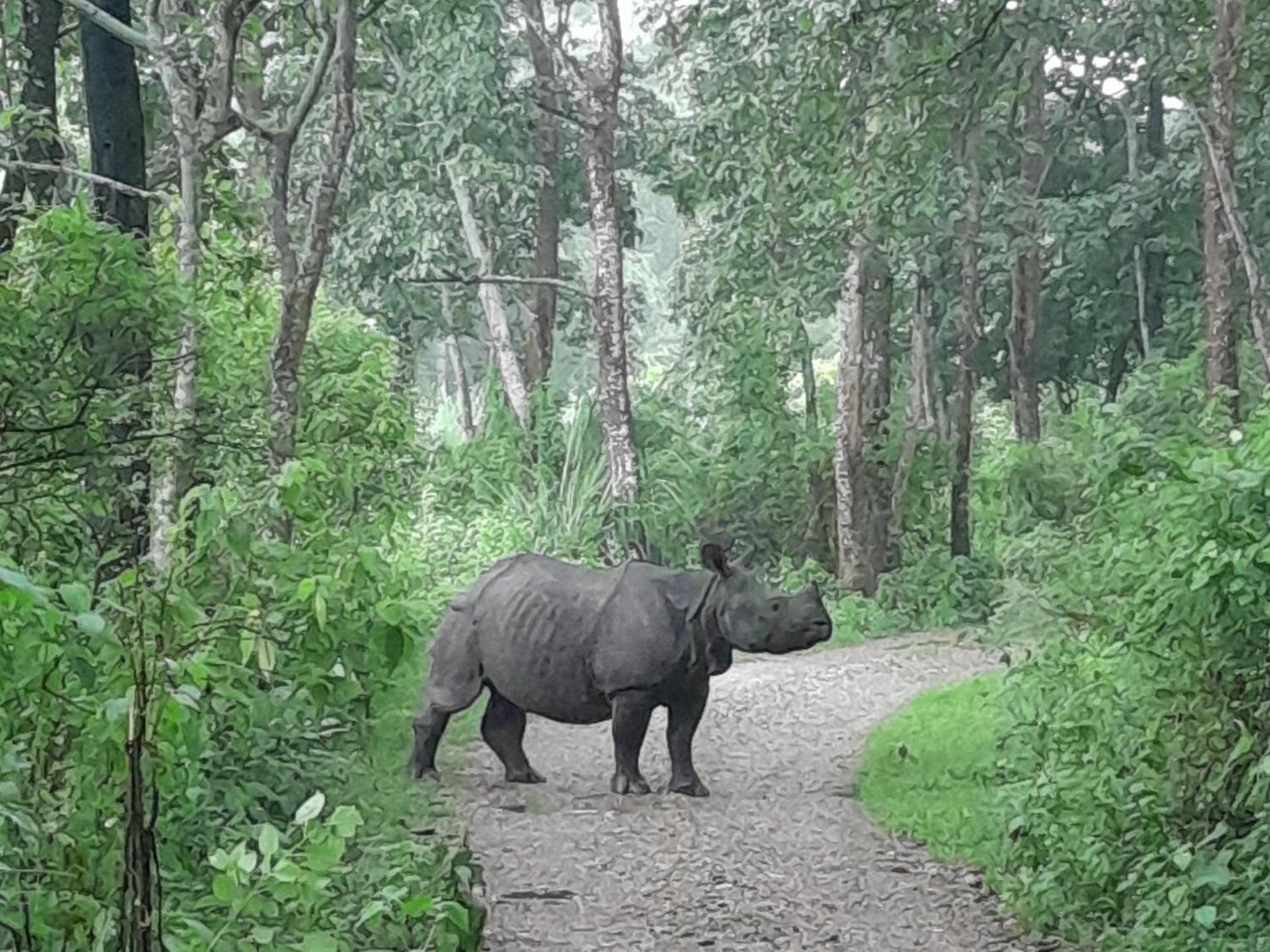 Hotel Crocodile Safari Camp Chitwan Exterior foto