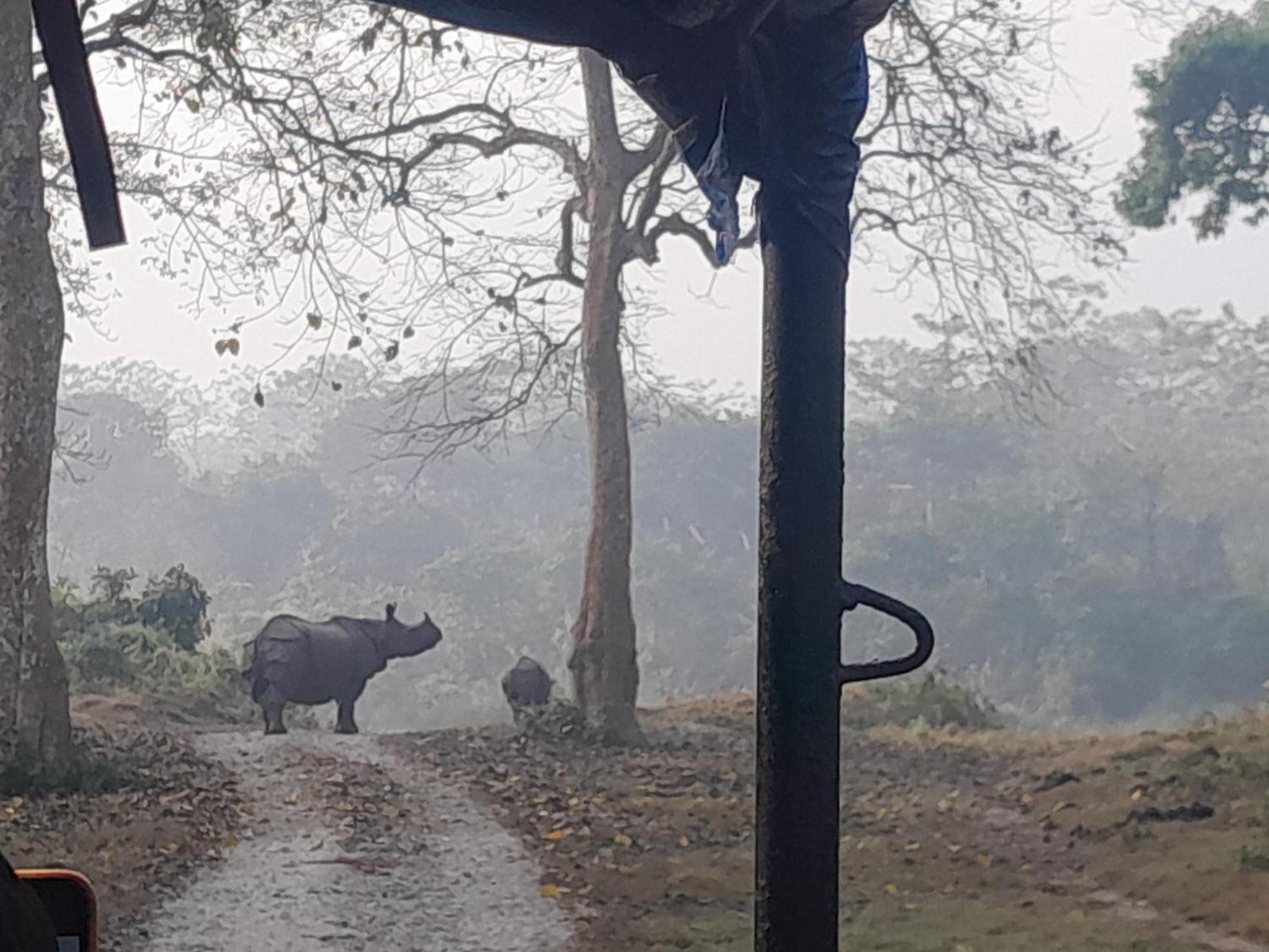 Hotel Crocodile Safari Camp Chitwan Exterior foto