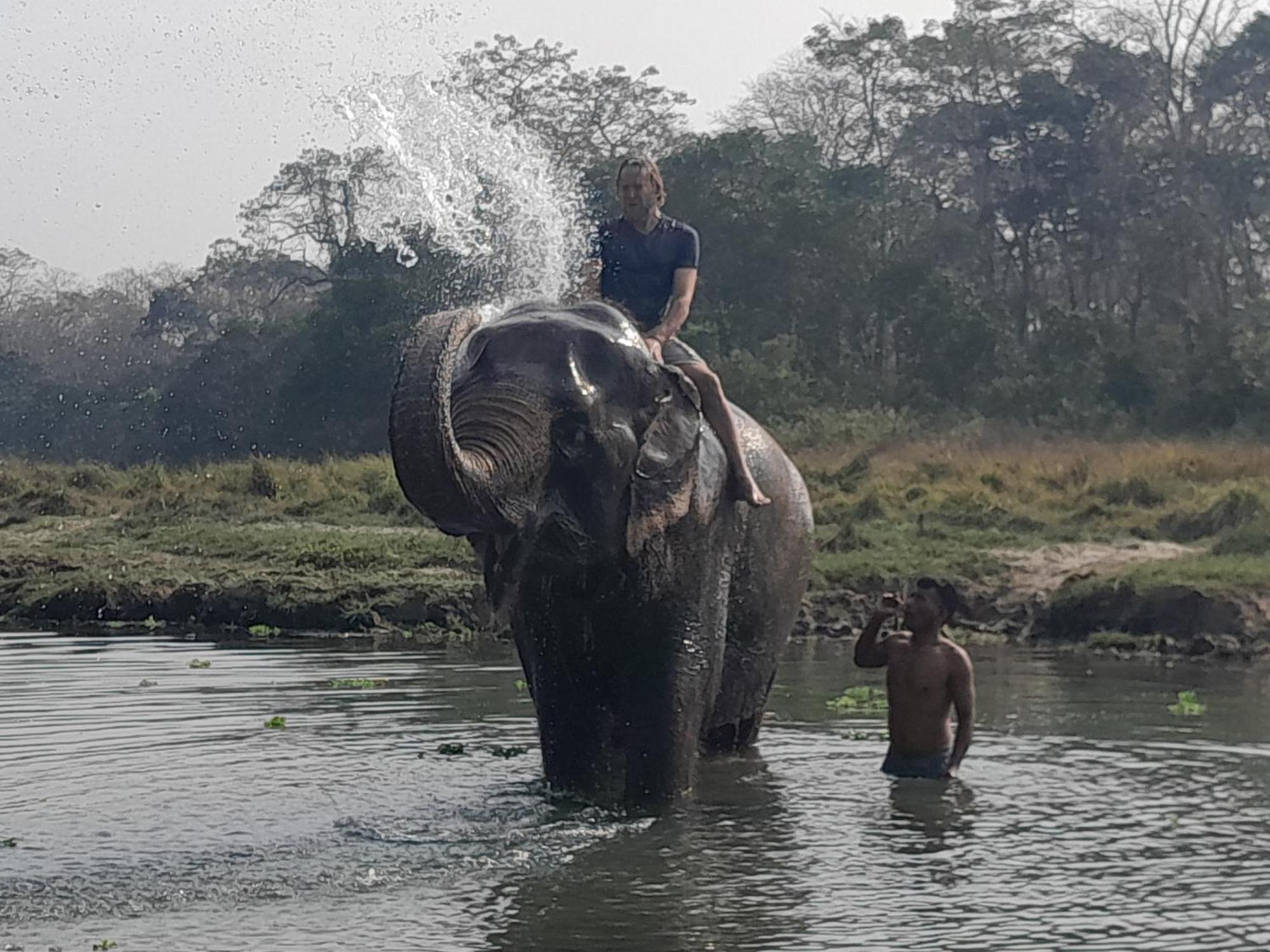 Hotel Crocodile Safari Camp Chitwan Exterior foto